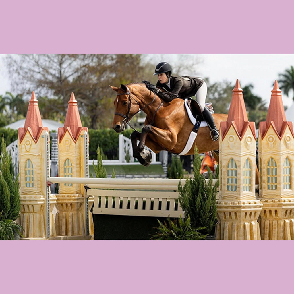 A Postcard from Wellington