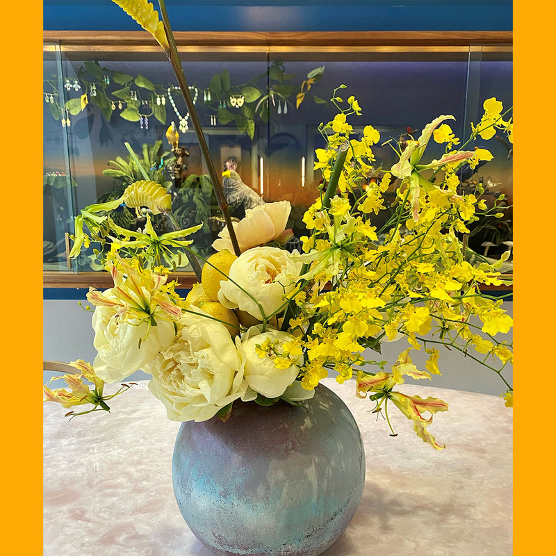 Our Friends Pretend Plants & Flowers This Week at Melrose Place