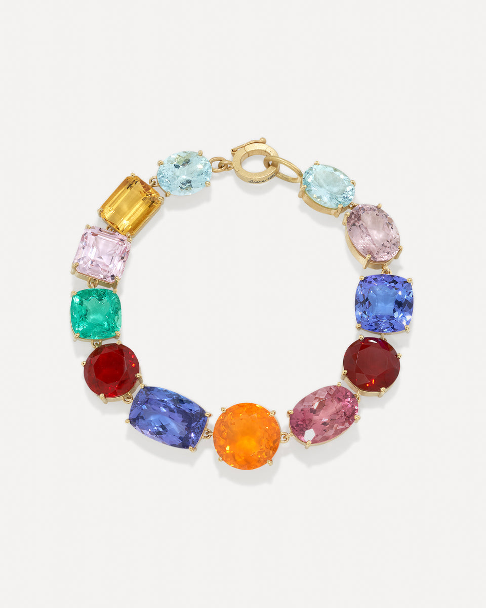 One of a Kind Gemmy Gem Link Bracelet - Irene Neuwirth