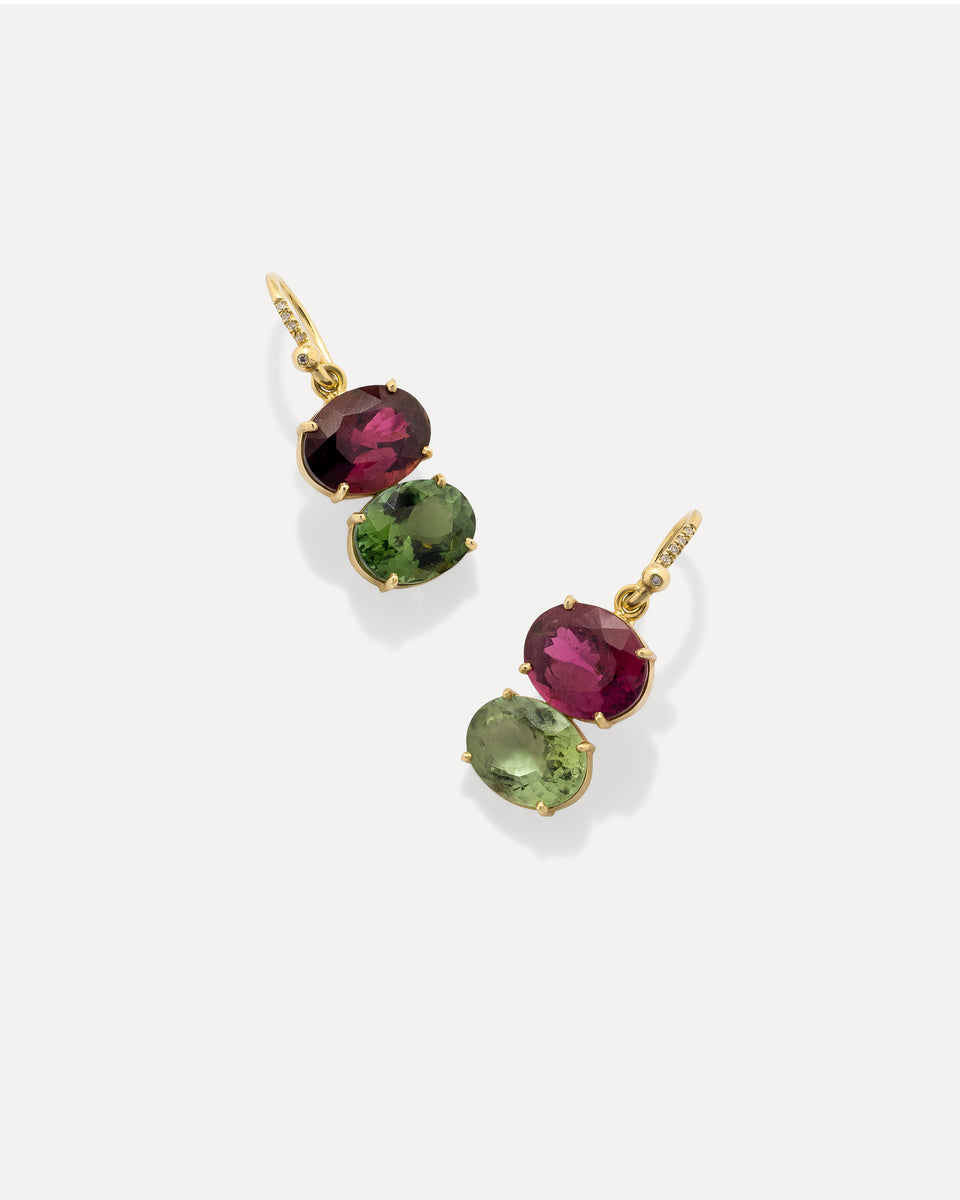 One of a Kind Gemmy Gem Double Stone Earrings - Irene Neuwirth