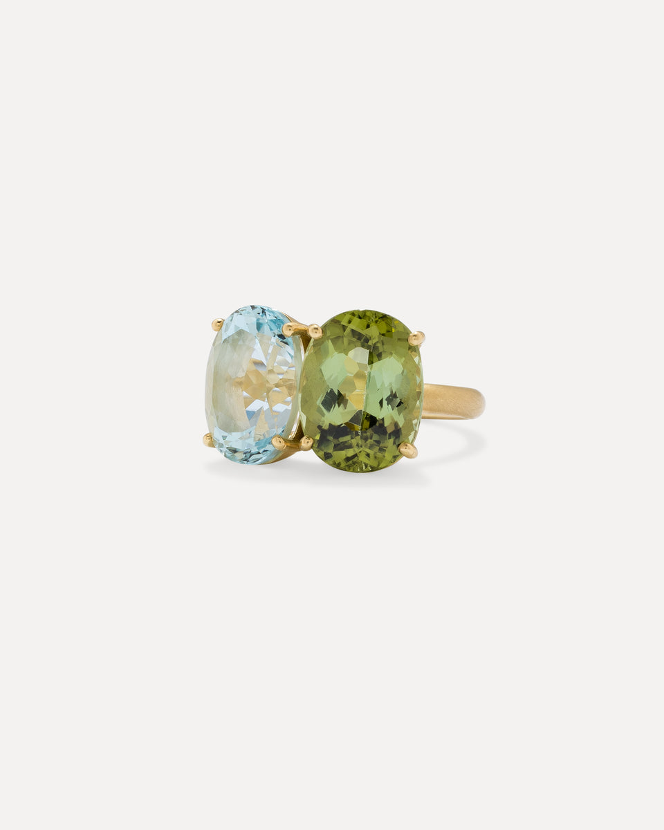 One of a Kind Gemmy Gem Double Stone Ring - Irene Neuwirth