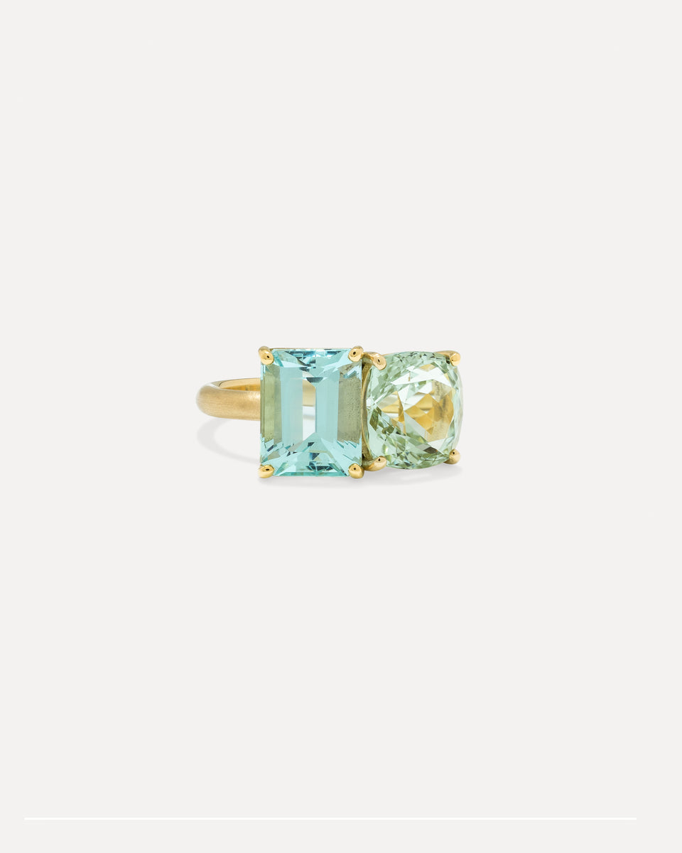 One of a Kind Gemmy Gem Double Stone Ring - Irene Neuwirth