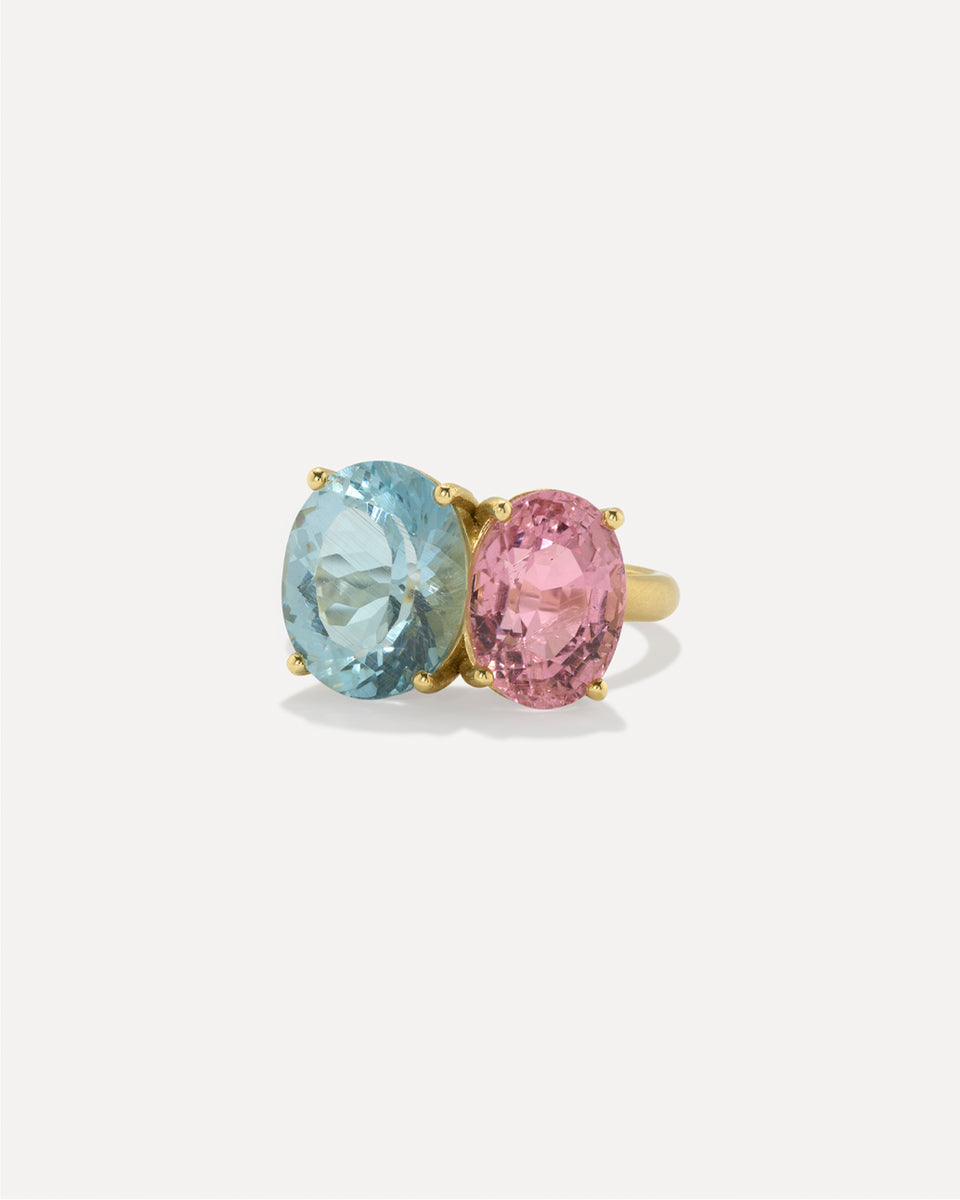 One of a Kind Gemmy Gem Double Stone Ring - Irene Neuwirth