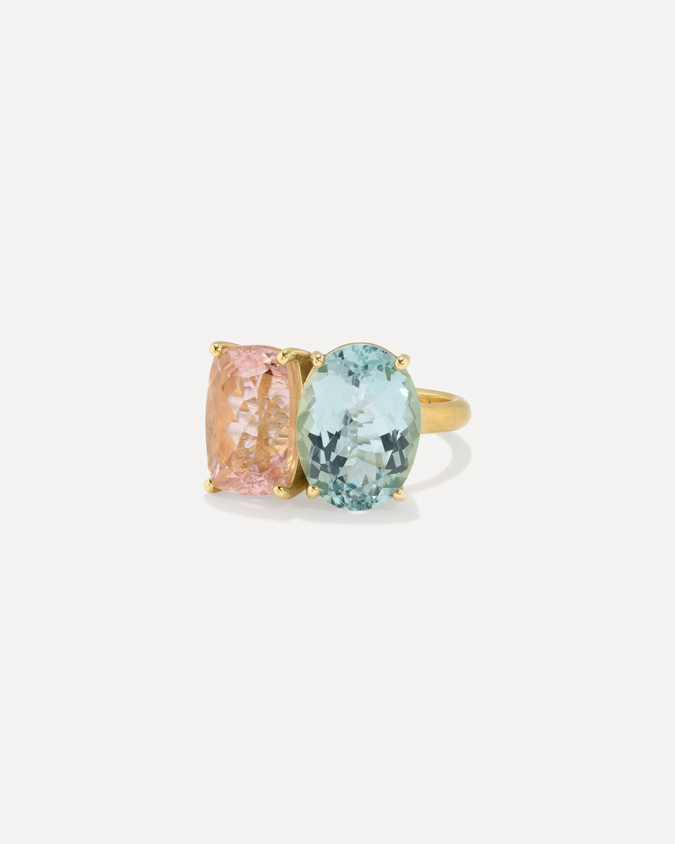 One of a Kind Gemmy Gem Double Stone Ring - Irene Neuwirth