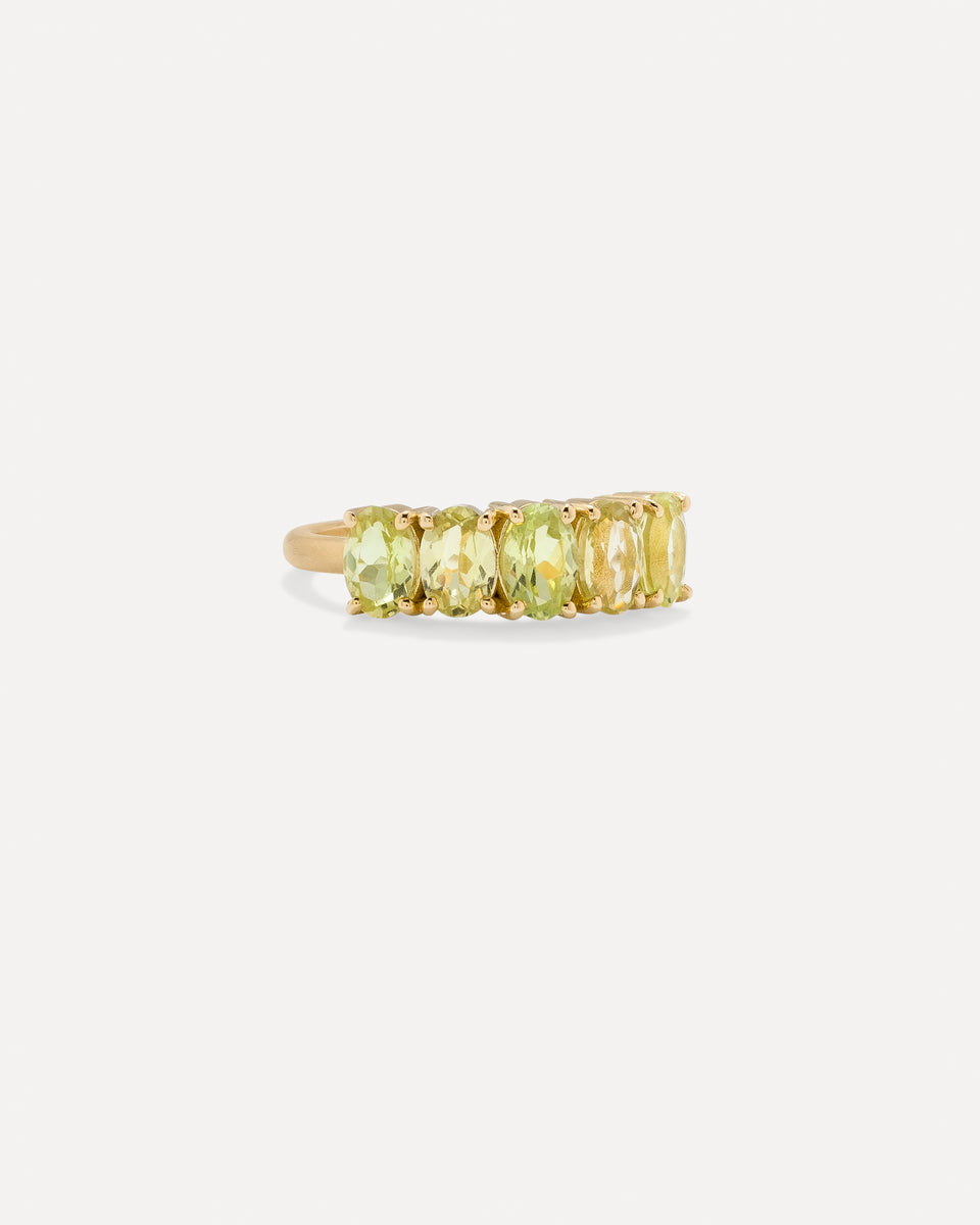One of a Kind Gemmy Gem Oval Five Stone Ring - Irene Neuwirth