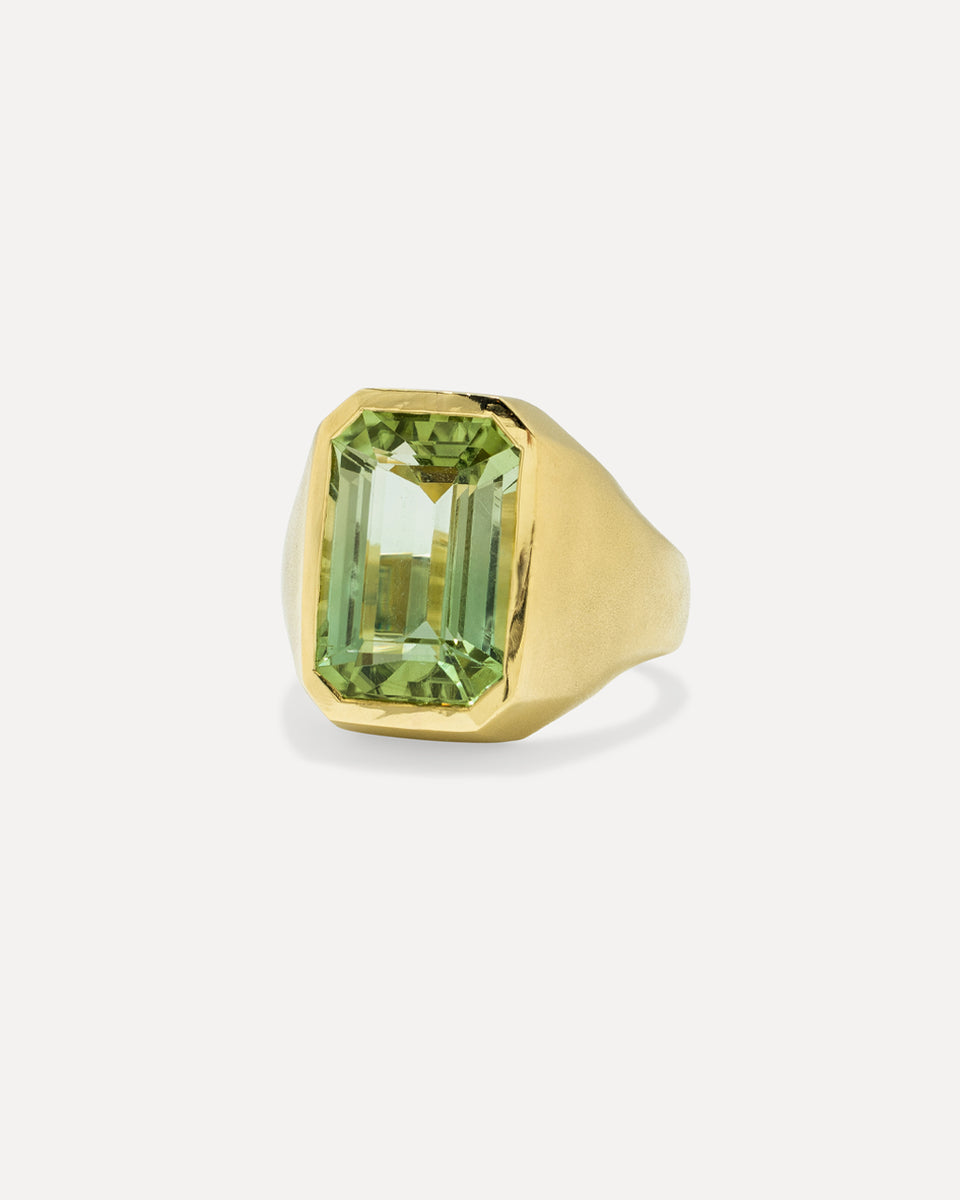 One of a Kind Bezel Cigar Band Ring - Irene Neuwirth