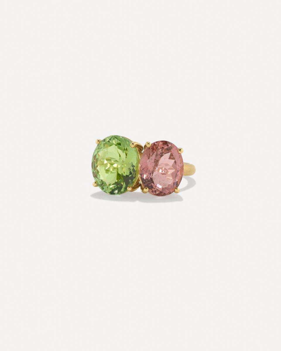 One of a Kind Gemmy Gem Double Stone Ring - Irene Neuwirth