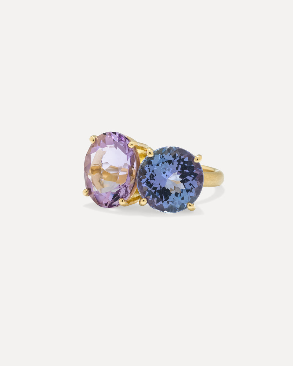 One of a Kind Gemmy Gem Double Stone Ring - Irene Neuwirth