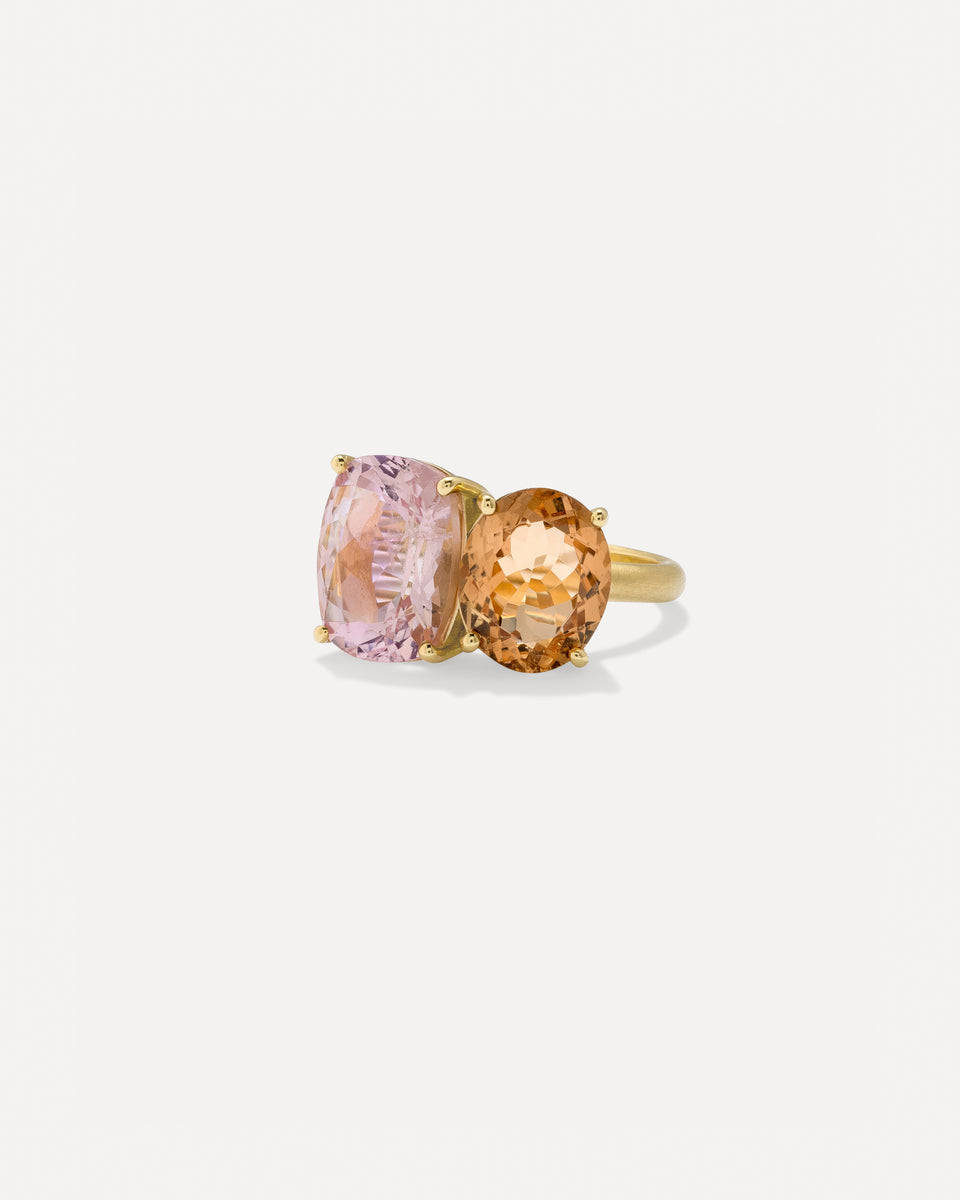 One of a Kind Gemmy Gem Double Stone Ring - Irene Neuwirth