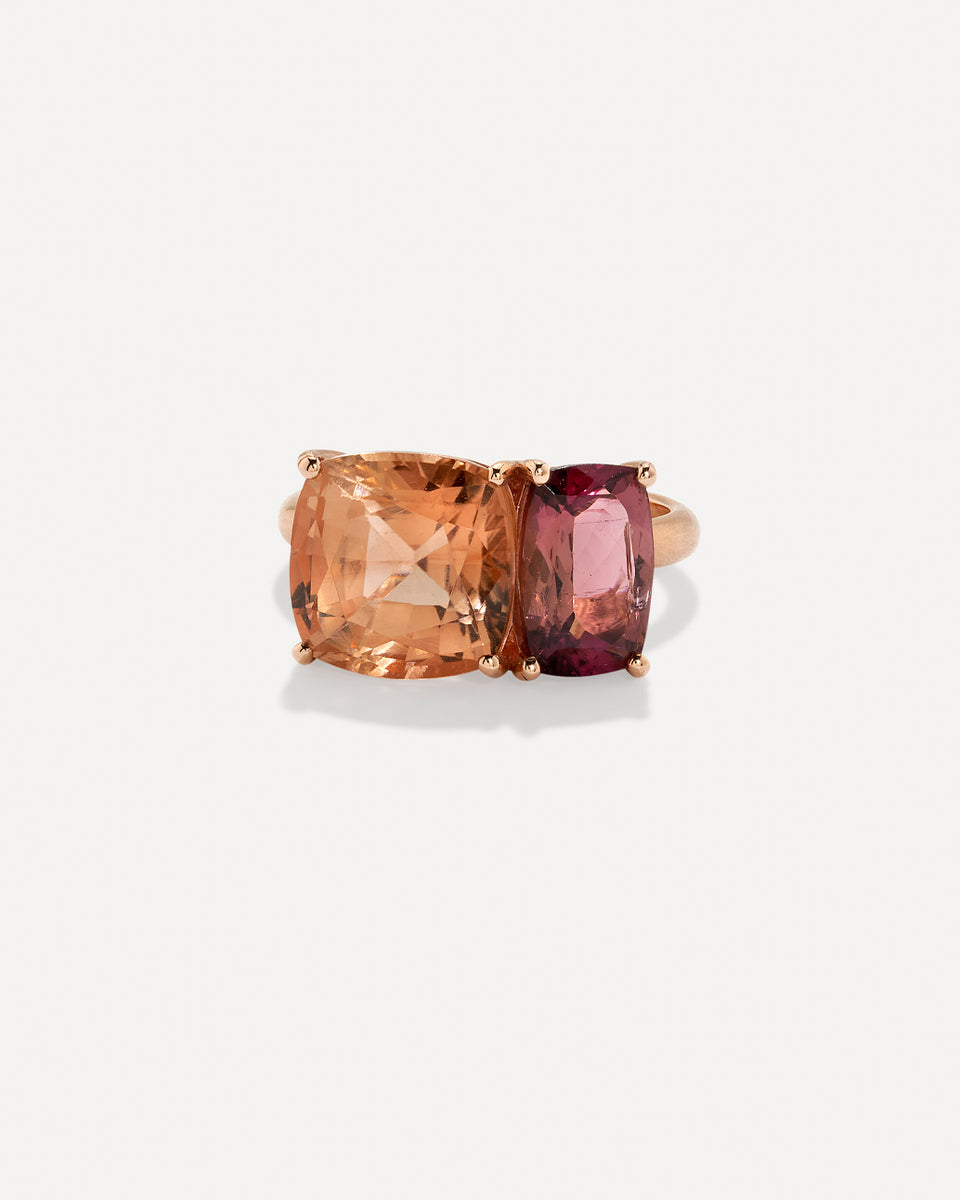 One of a Kind Gemmy Gem Double Stone Ring - Irene Neuwirth