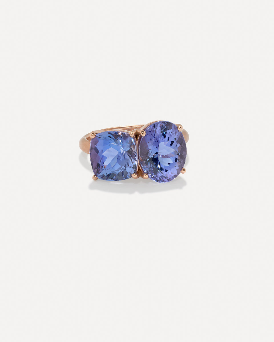 One of a Kind Gemmy Gem Double Stone Ring - Irene Neuwirth